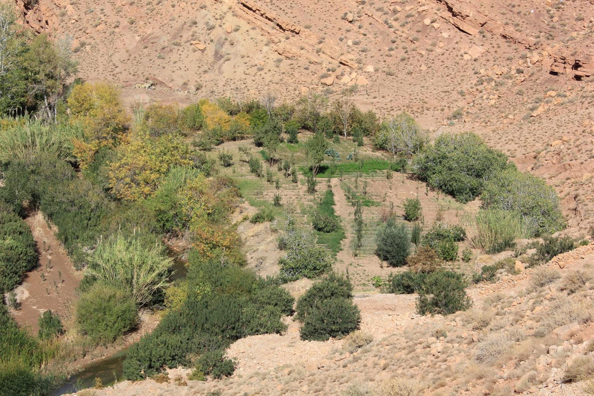 A Pousada Kasbah Lucas Akhendachou n'Ait Ouffi Exterior foto
